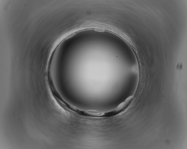 X0000093261536200709261721