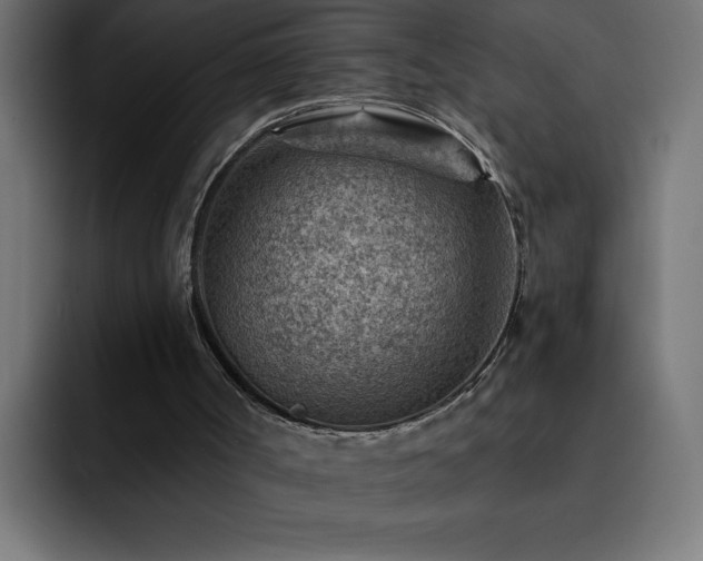 X0000093260002200710031612