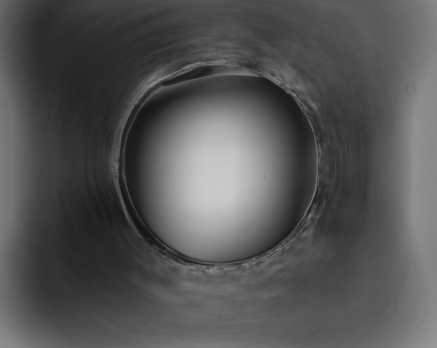 X0000093260003200710031612