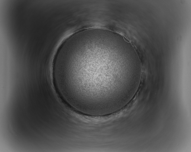 X0000093260006200710031612