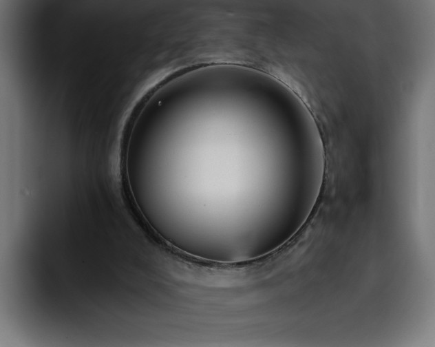 X0000093260008200710031612