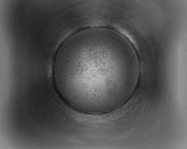 X0000093260010200710031612