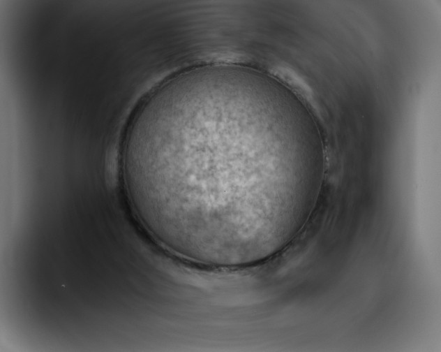 X0000093260012200710031612