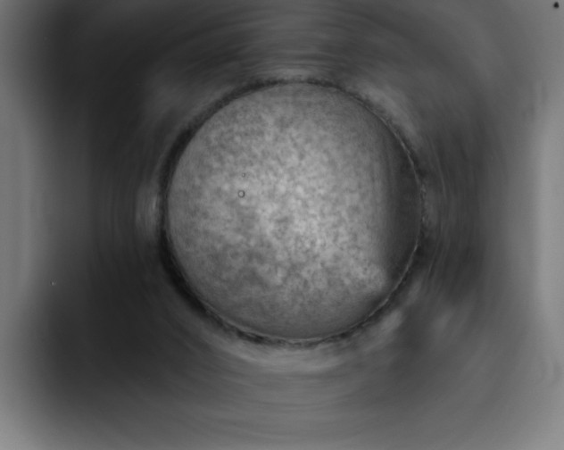 X0000093260016200710031612