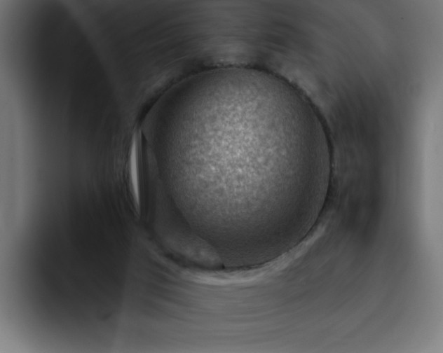 X0000093260017200710031612