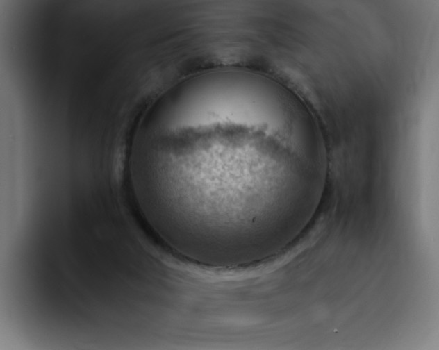 X0000093260018200710031612