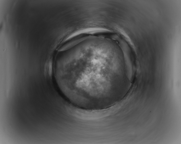 X0000093260019200710031612