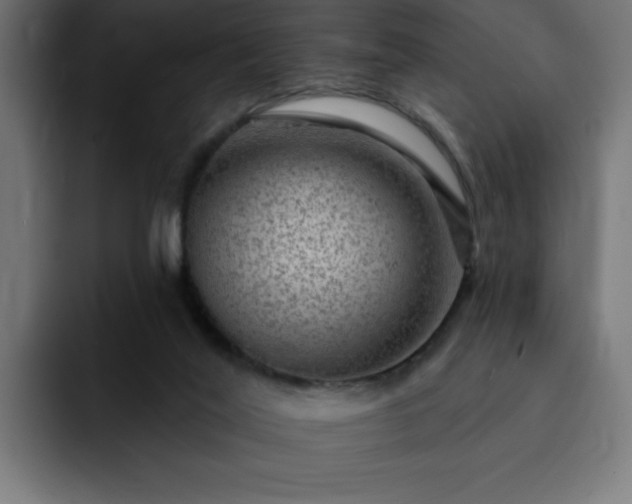 X0000093260020200710031612