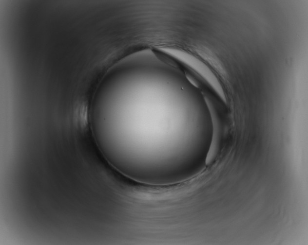 X0000093260021200710031612