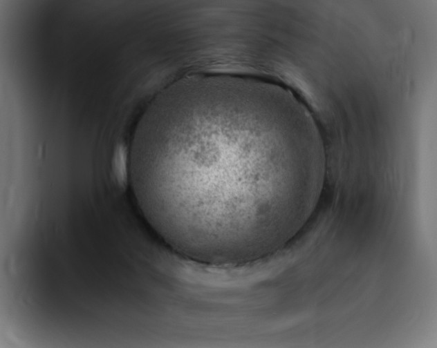 X0000093260022200710031612