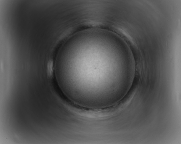 X0000093260024200710031612