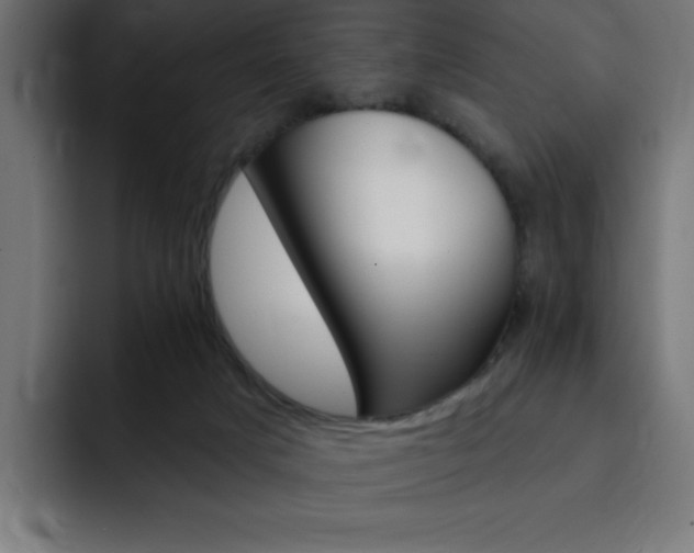 X0000093260025200710031612