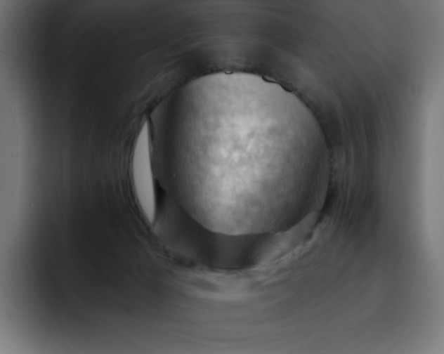 X0000093260029200710031612