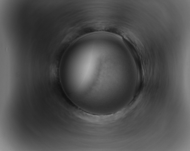 X0000093260035200710031612