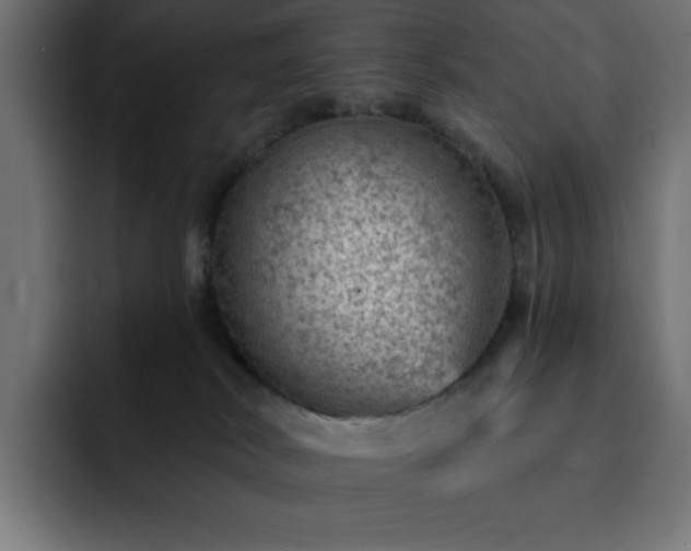 X0000093260038200710031612