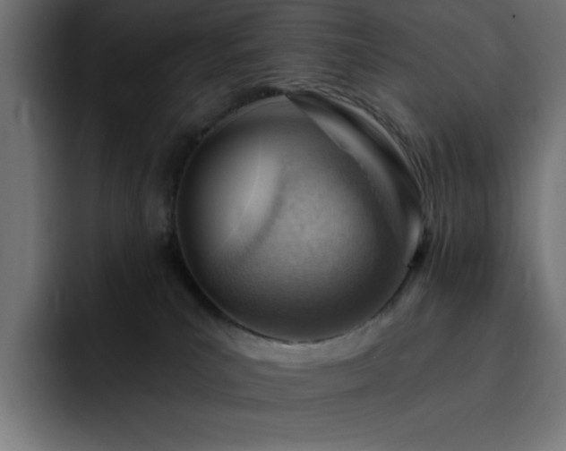 X0000093260039200710031611