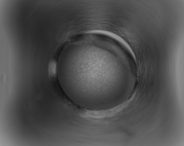 X0000093260041200710031611