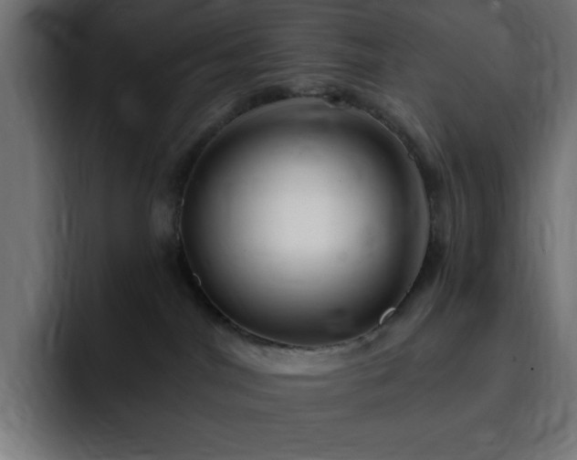 X0000093260044200710031611