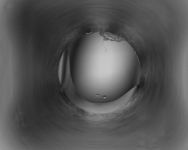 X0000093260045200710031611