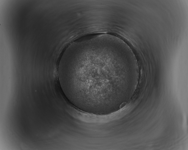 X0000093260048200710031611