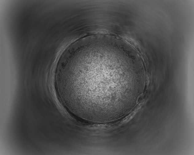 X0000093260049200710031611