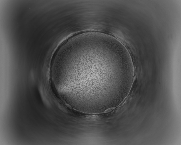 X0000093260050200710031611