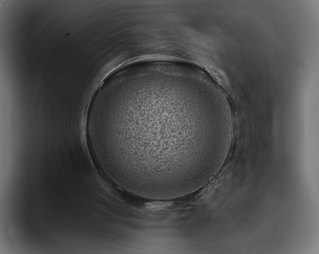 X0000093260051200710031611