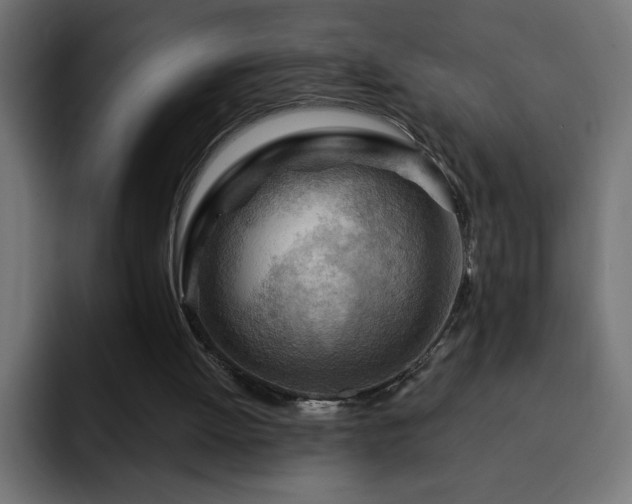 X0000093260052200710031611