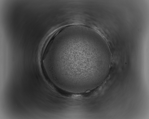 X0000093260055200710031611