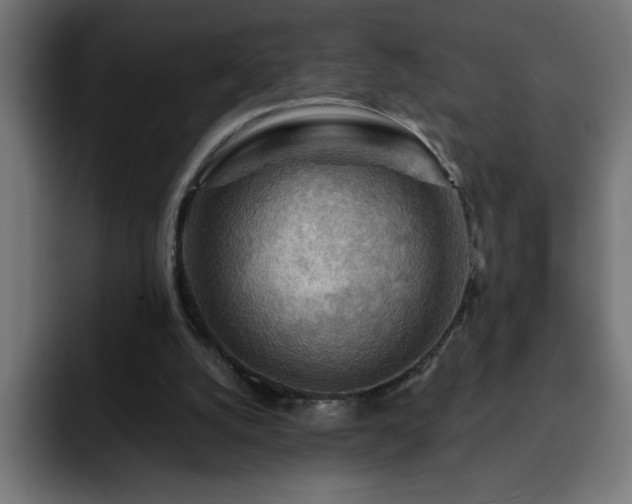 X0000093260056200710031611