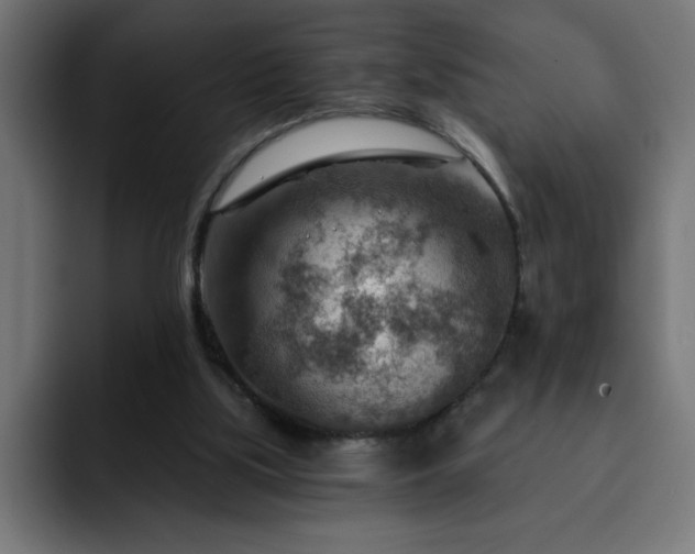 X0000093260059200710031611