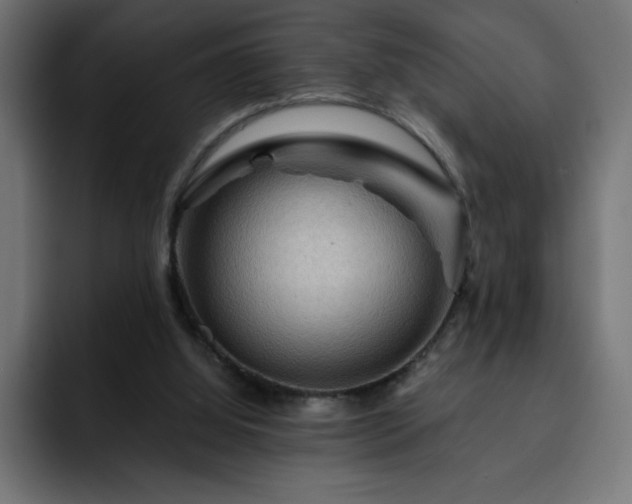 X0000093260060200710031611