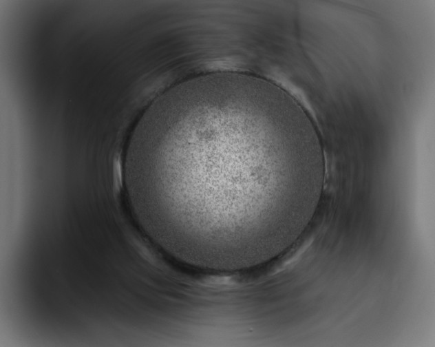 X0000093260061200710031611