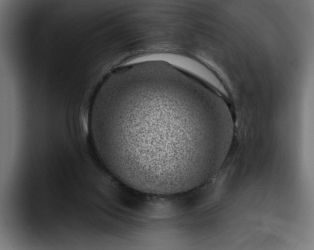 X0000093260062200710031611