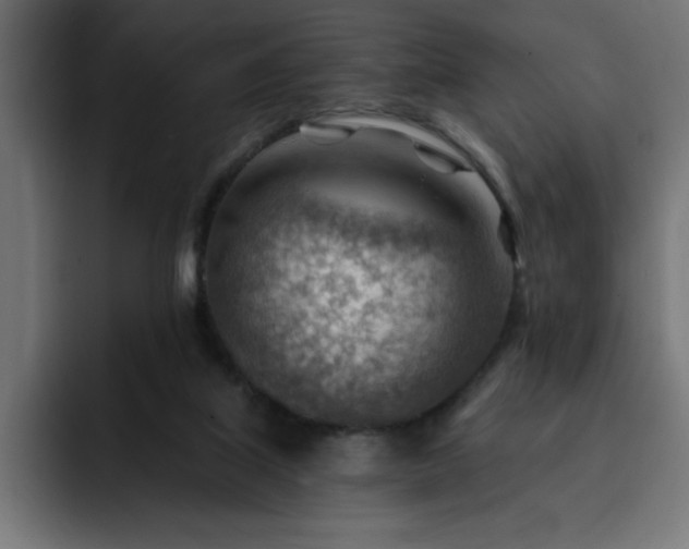 X0000093260067200710031611