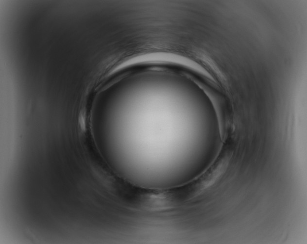 X0000093260068200710031611