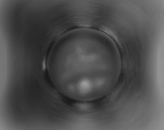 X0000093260069200710031611