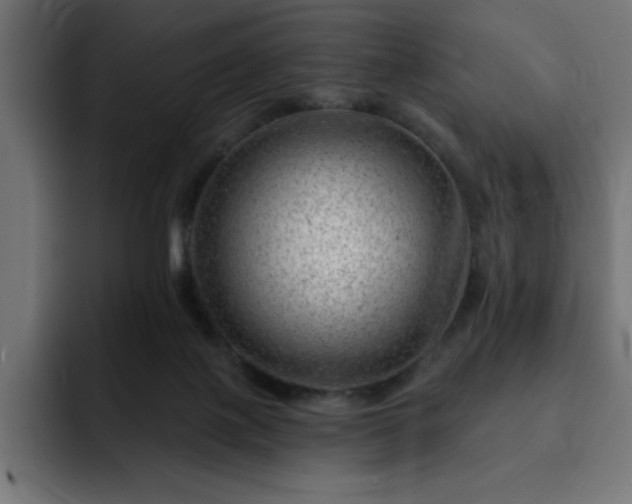 X0000093260075200710031611