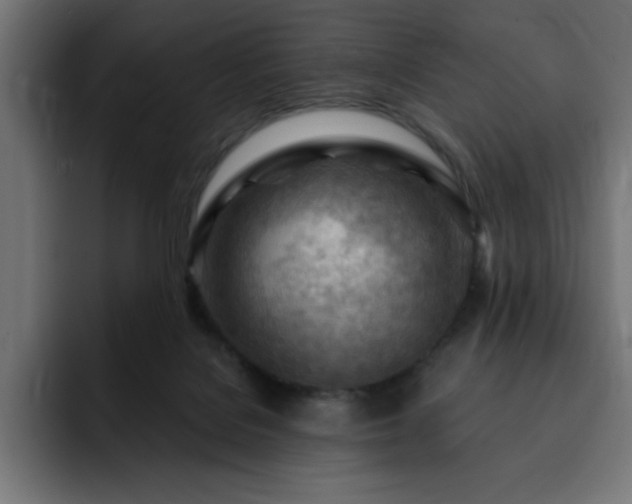 X0000093260076200710031611