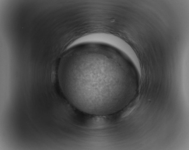 X0000093260080200710031611