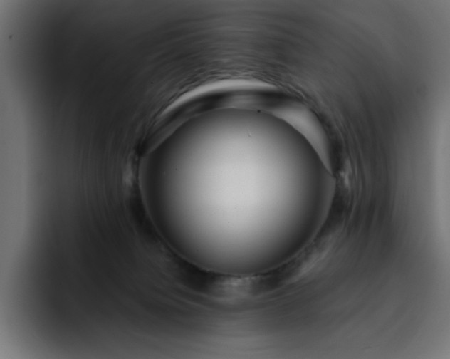 X0000093260084200710031611