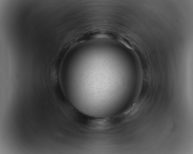 X0000093260086200710031611