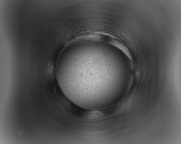 X0000093260087200710031611