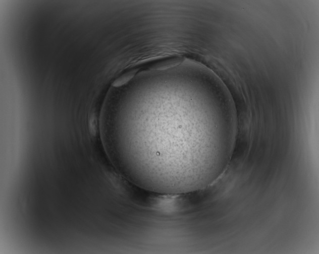 X0000093260090200710031611