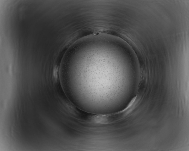 X0000093260094200710031611