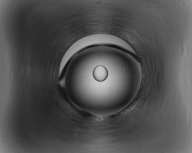 X0000093260096200710031611