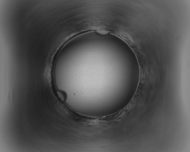 X0000093260098200710031611