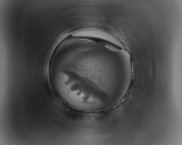 X0000093260099200710031611