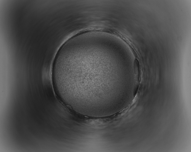 X0000093260100200710031611