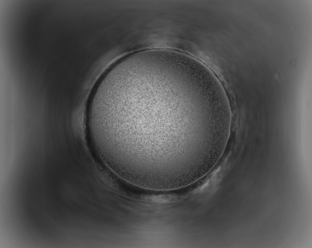 X0000093260103200710031611